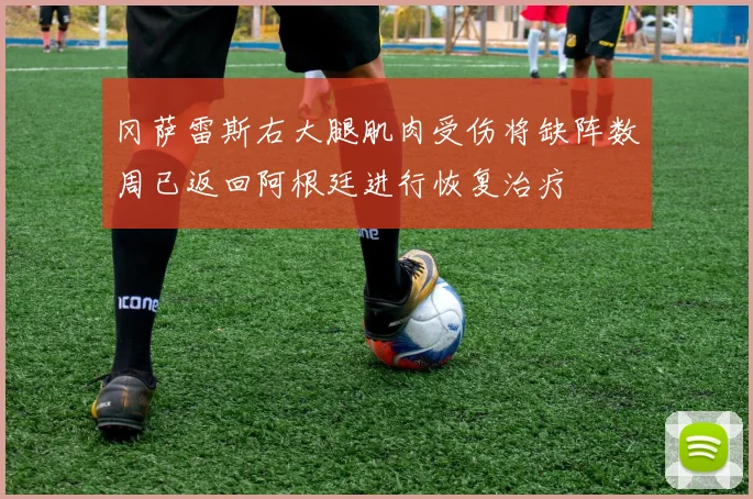 冈萨雷斯右大腿肌肉受伤将缺阵数周已返回阿根廷进行恢复治疗