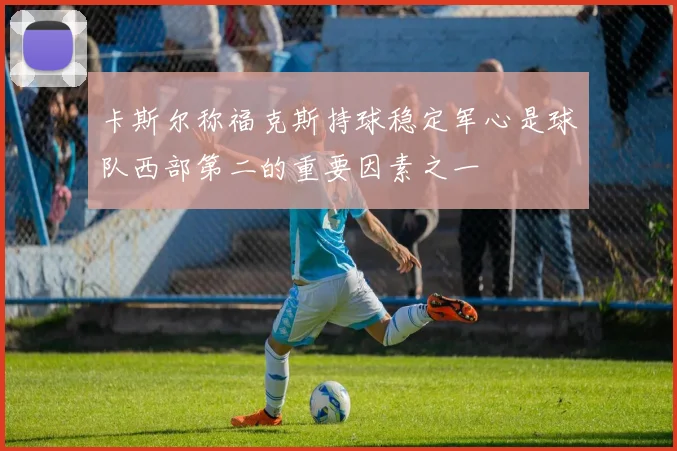 卡斯尔称福克斯持球稳定军心是球队西部第二的重要因素之一