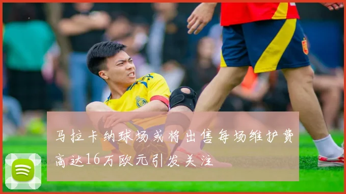 马拉卡纳球场或将出售每场维护费高达16万欧元引发关注