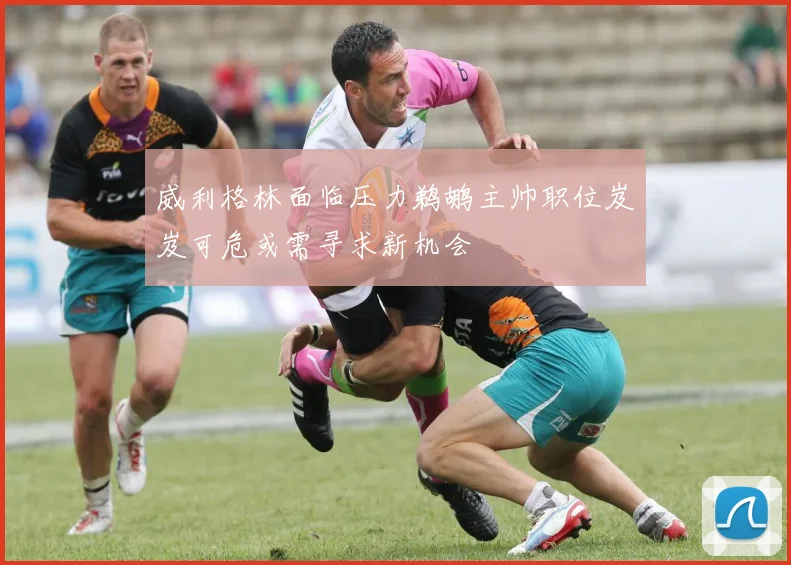 威利格林面临压力鹈鹕主帅职位岌岌可危或需寻求新机会